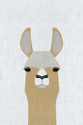 Framed Llama Print