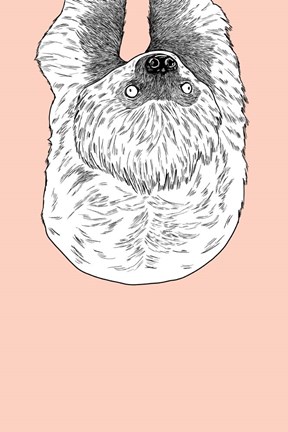 Framed Sloth Print