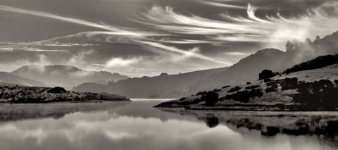 Framed Cirrus Print