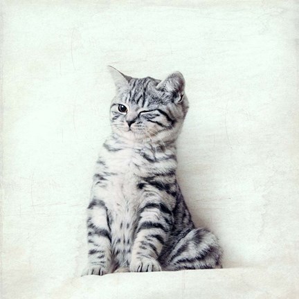 Framed Cat Winks Print