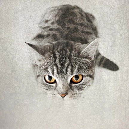 Framed Hello Kitty Print