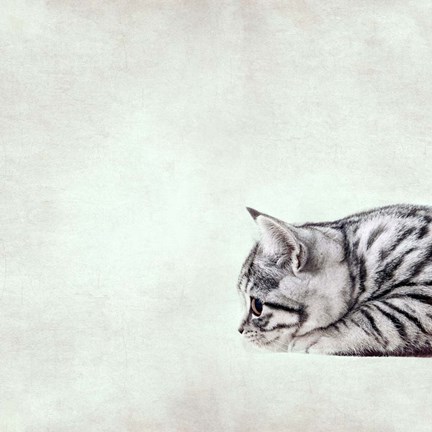 Framed In the Waiting Line Print