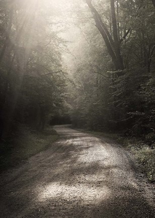 Framed Back Country Road Print