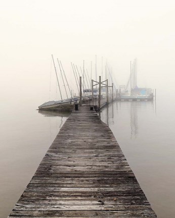 Framed Harbor Fog Print