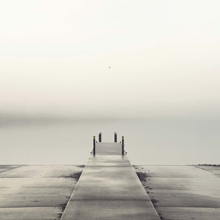 Framed Pier and Seagull Print