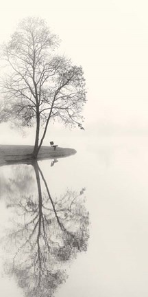 Framed Tranquil Morning Print