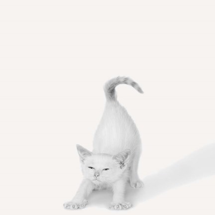 Framed Bonjour! Print