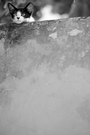 Framed Dreamin&#39; Print