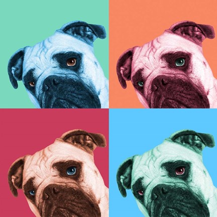 Framed Que Pasa Pop Print