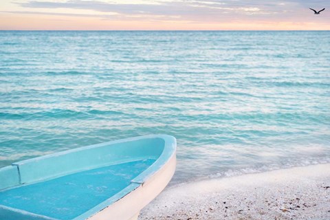 Framed Solo Flight Print