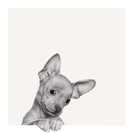 Framed Sweet Chihuahua Print