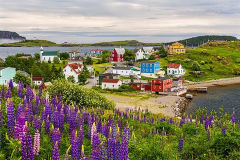 Framed Outport Print