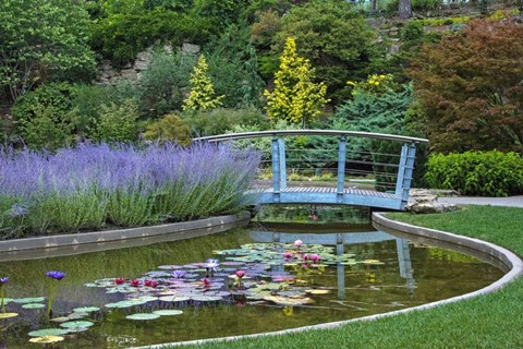 Framed Serenity Print