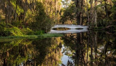 Framed Long White Bridge Print