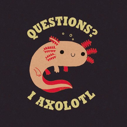 Framed Axolotl Questions Print
