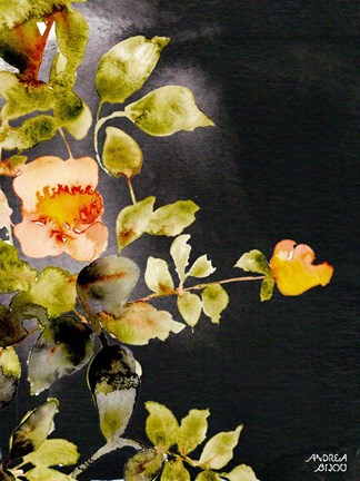 Framed Roses on Black Print