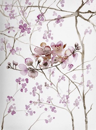 Framed Cherry Blossoms Print