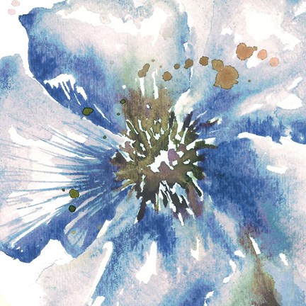 Framed Blue Watercolor Poppy Close Up II Print