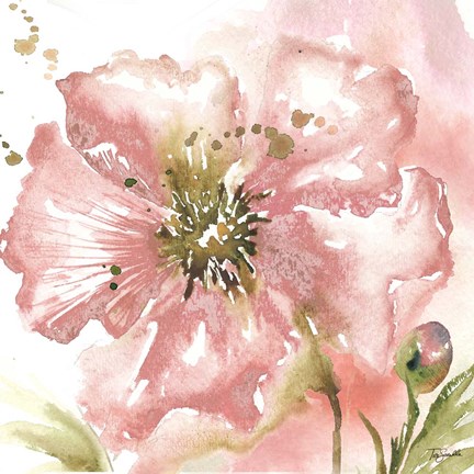 Framed Blush Watercolor Poppy II Print