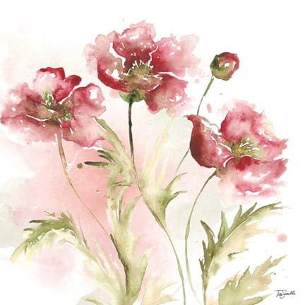 Framed Blush Watercolor Poppy III Print