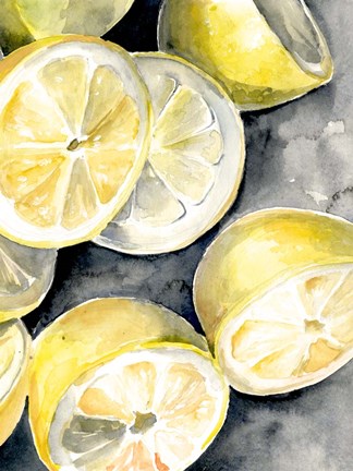 Framed Lemon Slices II Print