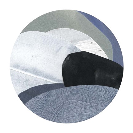 Framed Littoral Composite IV Print