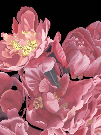 Framed Peonies of My Heart II Print