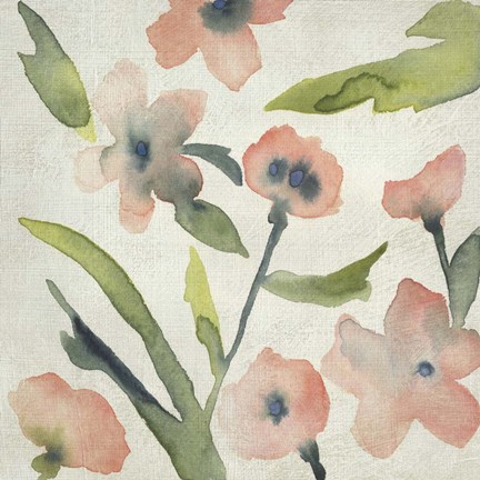 Framed Blush Pink Blooms II Print
