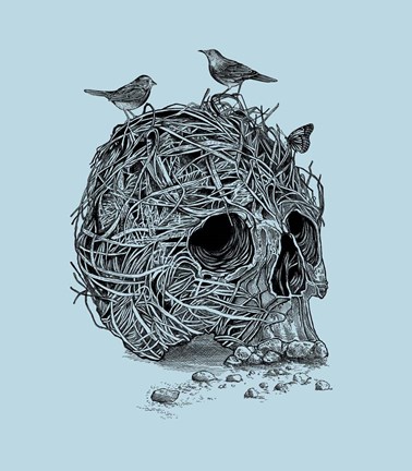 Framed Skull Nest Print