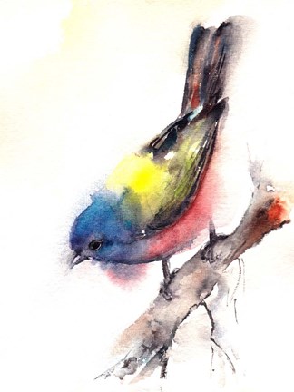 Framed Bunting Bird Print