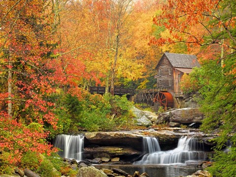 Framed Autumn Splendor Print
