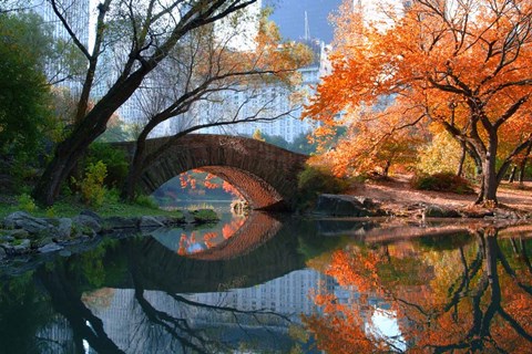 Framed Gapstow Bridge, Fall Print