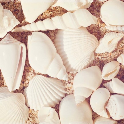 Framed Beachcomber Print