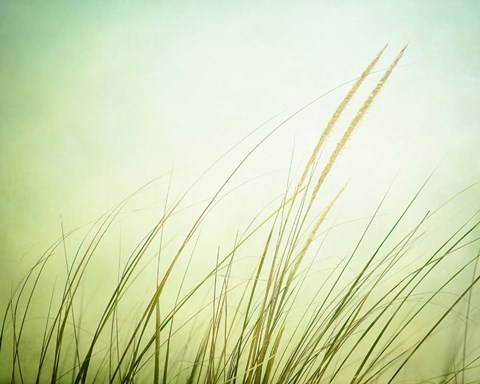 Framed Just Breathe Print