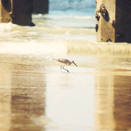 Framed Walking on The Beach Print