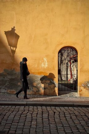 Framed Mala Strana Print