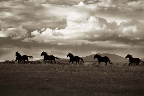 Framed Racing the Clouds Print