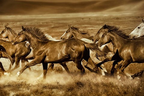 Framed Unbroken Print