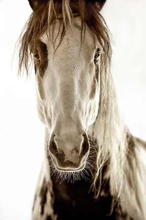 Framed Wilbur Cruz Print