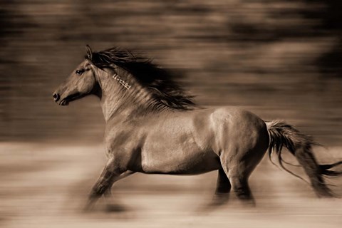 Framed Wind Runner Print