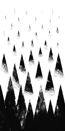 Framed Black Hills Print