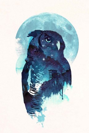 Framed Midnight Owl Print