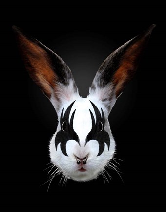 Framed Rabbit Rocks Print