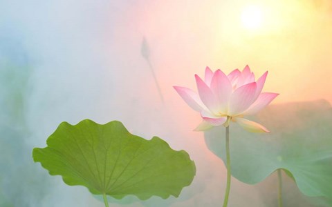 Framed Serenity Print