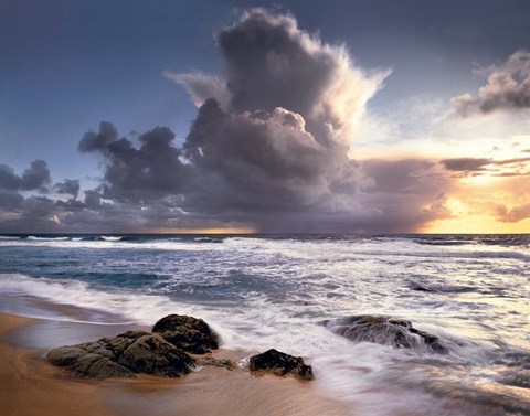 Framed Forces of Nature Print