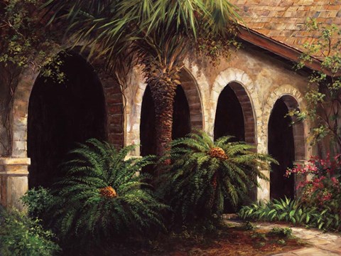 Framed Sago Arches Print