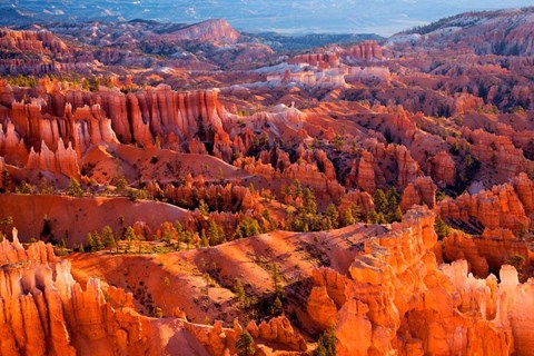 Framed Morning Light Print