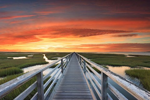 Framed Greys Beach Sunset Print