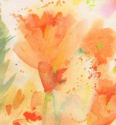 Framed Windblown Poppies #2 Print