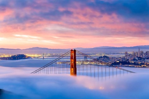 Framed Anomaly Print